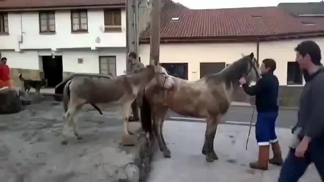 Порно тез секіріп кетеді