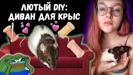 ШЬЮ ДИВАНЧИК для крыс | Творчество с ноткой депресняка