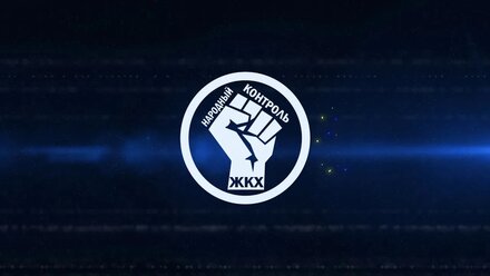 Анимация логотипа Народный контроль
