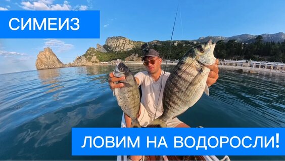 Огромные морские Караси! - Тайная техника рыбалки на Водоросли!! Южный берег Крыма! — Вид...