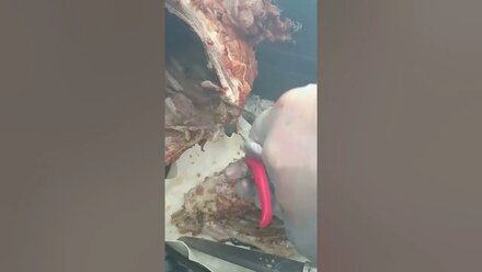 Выездная кухня на мероприятие: доставка плова, баран на вертеле, самса, манты в Минске #picnikby