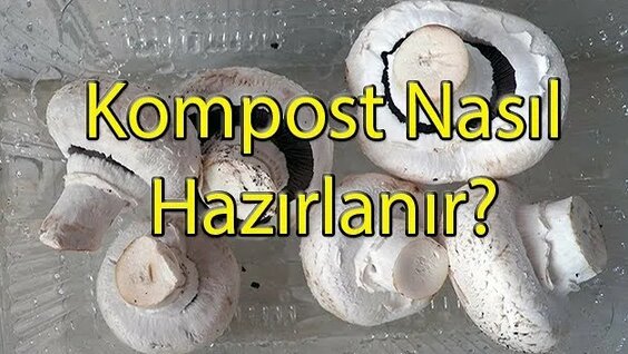 Kültür Mantarı İçin Kompost Nasıl Hazırlanır? - Yandex Video aramada ...