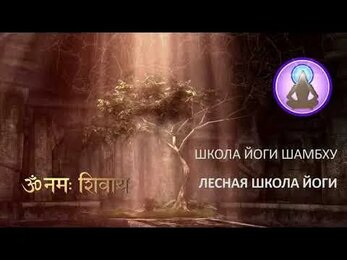 Мастер-класс по Кундалини-йоге Александра Сабинина в ретритном центре. Соколиное Крым
