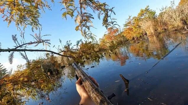 I've Never Decoyed Ducks THIS Close! | Duck Hunting NC 2021 - Смотреть ...