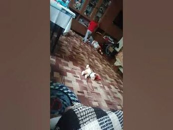День из жизни беременных барби 😁