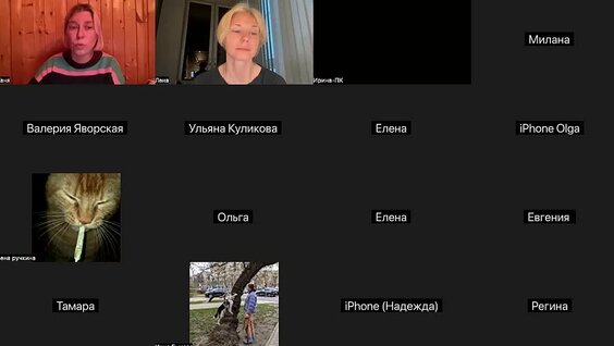 Сепарационная тревога у собак — Видео от Догспейс | Для собак и их людей