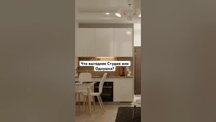 Я рассказываю про выгоду однушки и студии. #лучшийриелтор #инвестиции #новостройка #купитьвторичку