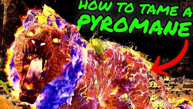 Pyromane Easy Taming Guide! How to Tame a Pyromane on The Center in Ark ...