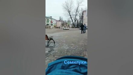 Воронежская обл. г.Семилуки