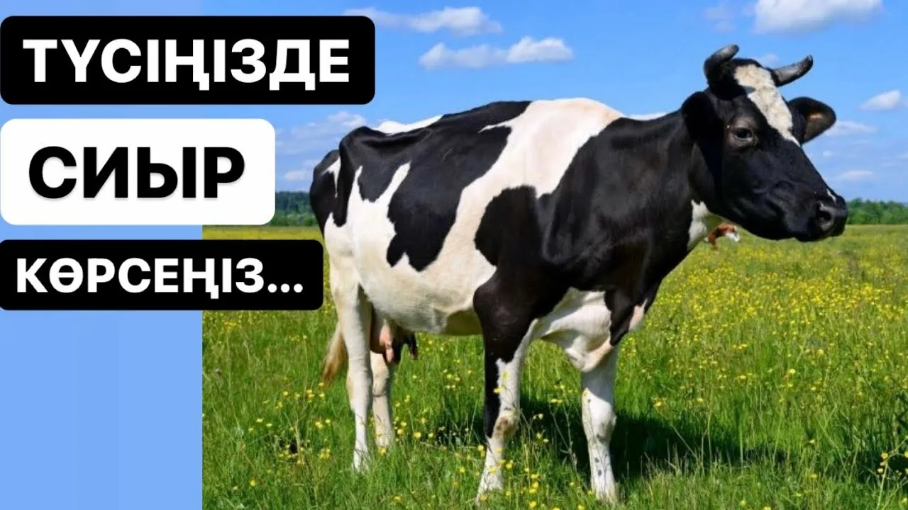 Жас жапондық әйелдер секс бейнелері