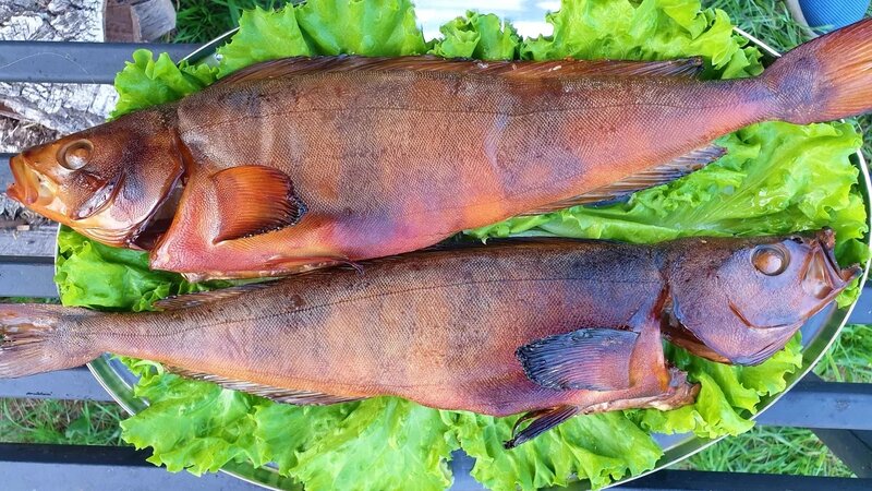 Рыба Терпуг горячего копчения. Простой рецепт в коптильне горячего ...