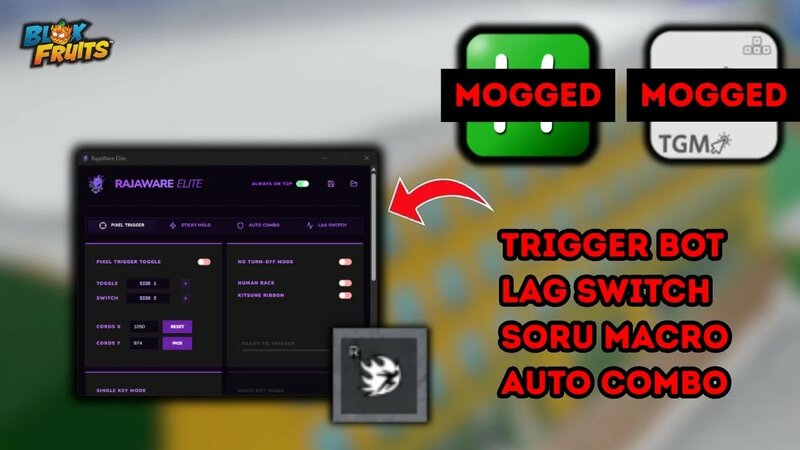 Best Soru Macro, Pixel Trigger Bot, Auto Combos, AHK? TGM? | Blox ...