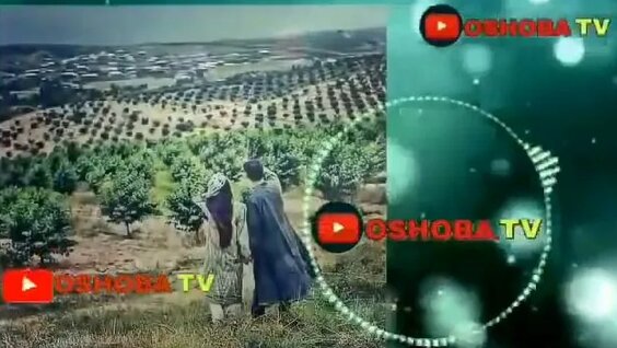 Tozhik kln jinsiy aloqa