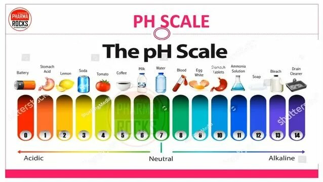 pH Scale & Measurements | Acidic | Basic | Neutral | pH Strips | pH ...
