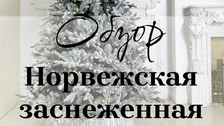 Обзор новинки «НОРВЕЖСКАЯ ЗАСНЕЖЕННАЯ» 🎄