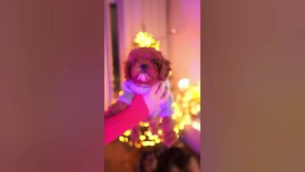 Видео от наших покупателей ❤️ У нас последние дни скидок, успей оформить заказ #shortsclip #youtube