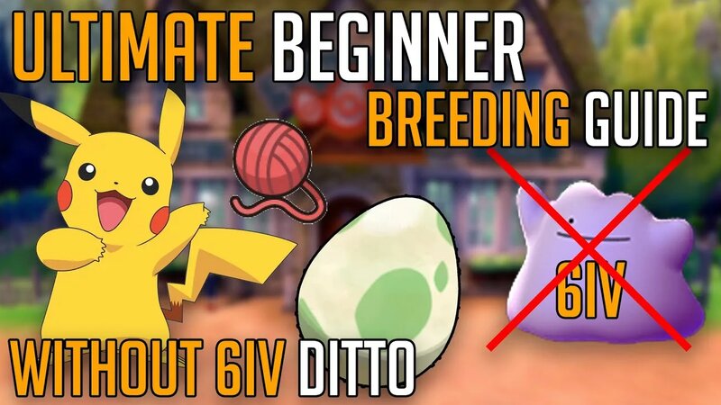 Ultimate BEST Beginner Breeding guide to competitive without 6IV ditto ...