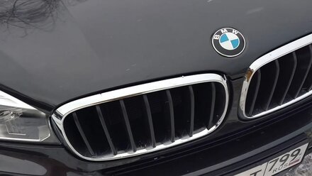 BMW x5 "Big Black Cats"