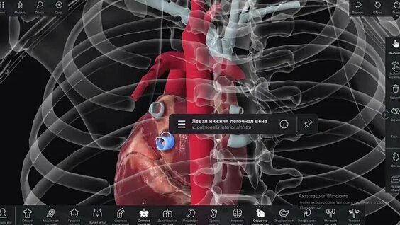 Онлайн порно тонна спермы бар жапондық трансвеститтер