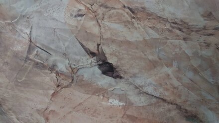 Классическая венецианская штукатурка Caparol Capadecor Calcino