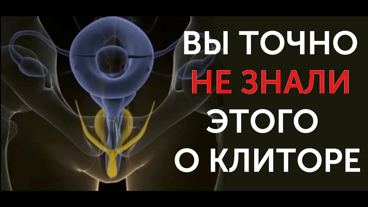 Арманның интерпретациясы: жыныстық қудалау