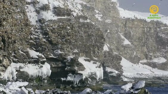 Земля Крайнего Севера - Полярная Ночь (2 серия) / Land of the Far North (2020) — Видео от До...