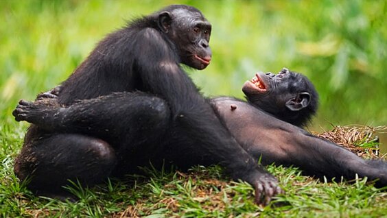 Aseksual guruh jinsiy porno onlayn tomosha qiling