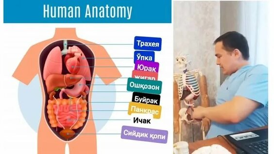 Mast qiz porno sikishdi