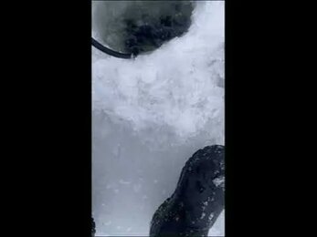 Ремонт датчика эхолота Lowrance Active Target