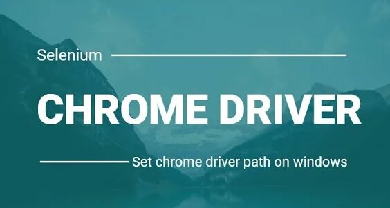 How To Install Chromedriver exe In Kaggle Viewer 951 Video Yandex te Bulundu