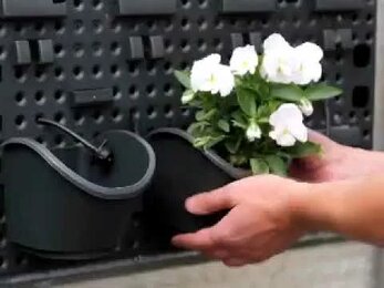 Вертикальная панель для растений 'Ботанический сад'