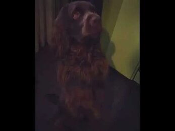 Отличное чувство слуха!