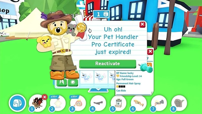 Ending & Starting Pet Handler Pro Certificate in Adopt me - Смотреть ...