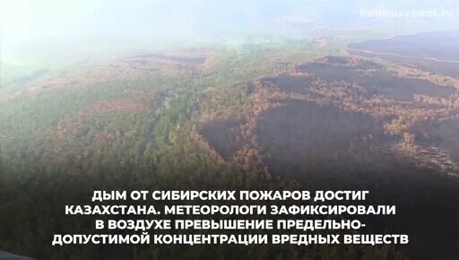 Пожары в Сибири — Видео от Коммерсантъ