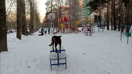 Малинуа Змейка
