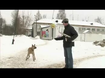 Саксофонист Юрий (Verner) Вербенко - Зурбаган