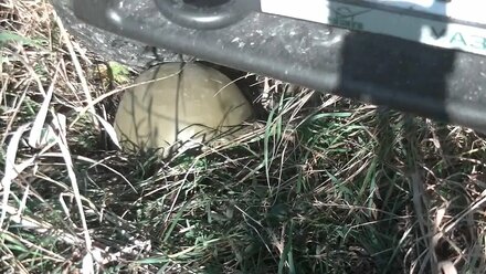 Наезд катка на автомобиль или Почему нужен полис КАСКО эпизод 4