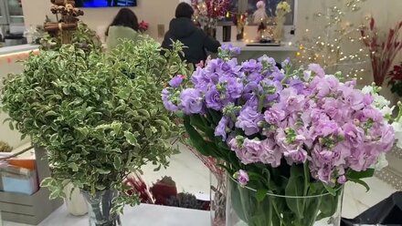 Принимаем одну из поставок цветов (декабрь 2022 года)/Цветы от Кошки