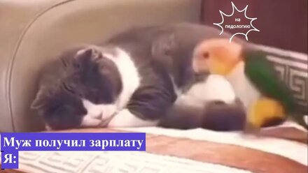 дай на маникюрчик