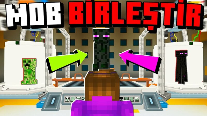 Minecraft ama Moblari Birleştiriyorum! | Aphernix Minecraft Bedrock ...