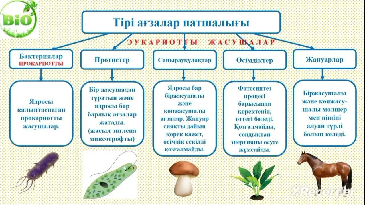 Никки Бенц бейнеленген порно