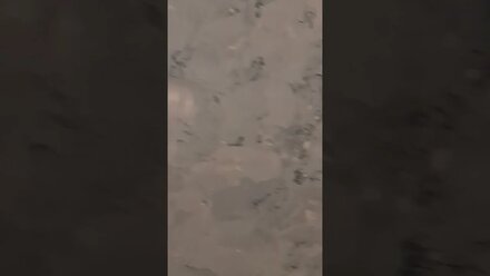 13 мая 2021 г.