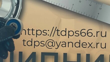 6301 2RS RF TDPS66 RU