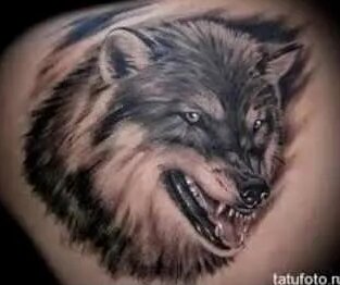 Татуировка волка: смысл и значение