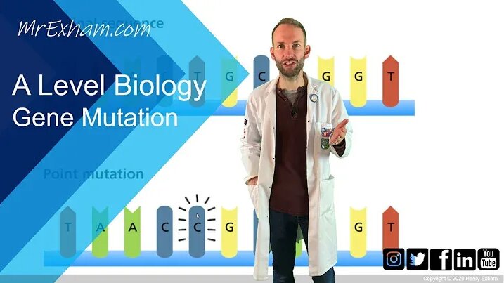 Gene mutation - A Level Biology - Смотреть онлайн в поиске Яндекса по Видео