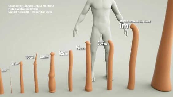 Porn penises size comparison