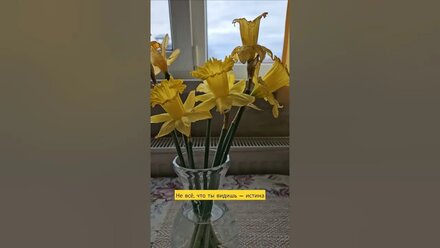 Смотреть до конца и без регистрации #аннамарт #тикток #доброеутро #коллажист #стихи