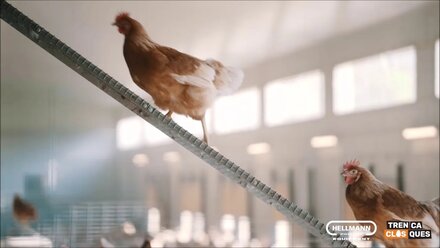 Granja Huevos Ecológicos & Hellmann Poultry Equipment