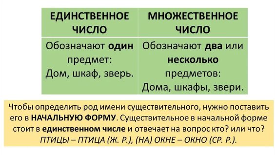Шкаф во множественном числе - 96 фото