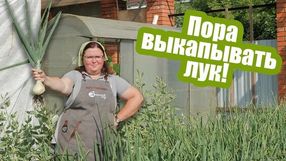 Порно фото галереяны алдын ала қарау